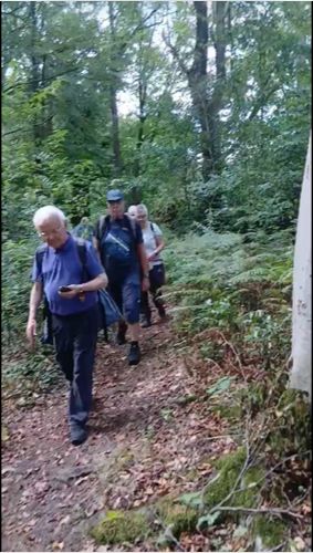 Videocover einer Wanderung in Vreden